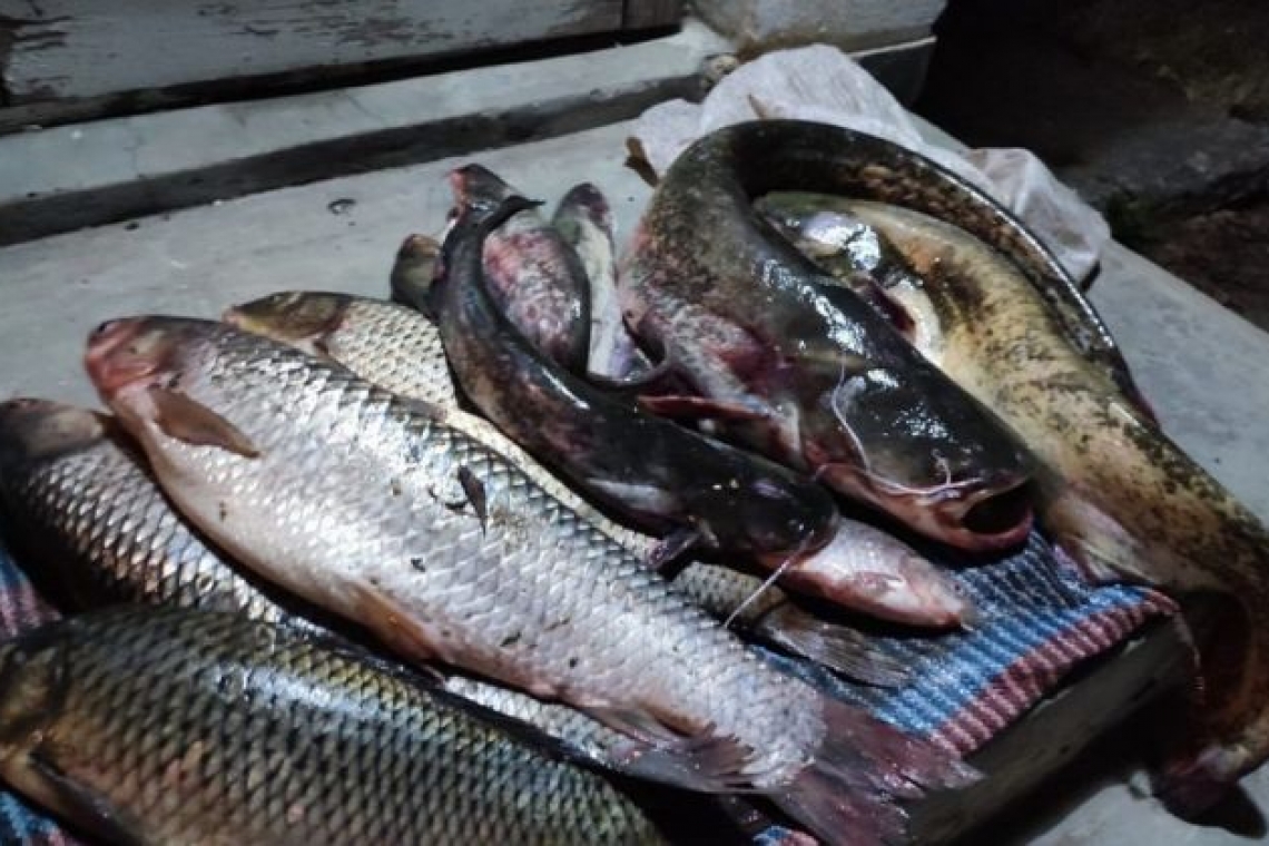 Transport ilegal de peşte, depistat de poliţiştii de frontieră din cadrul Sectorului Poliţiei de Frontieră Olteniţa 