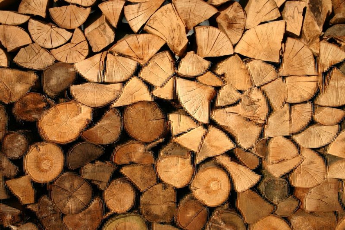 Prețul la materialele lemnoase pentru încălzirea locuinței în sezonul rece a fost plafonat!