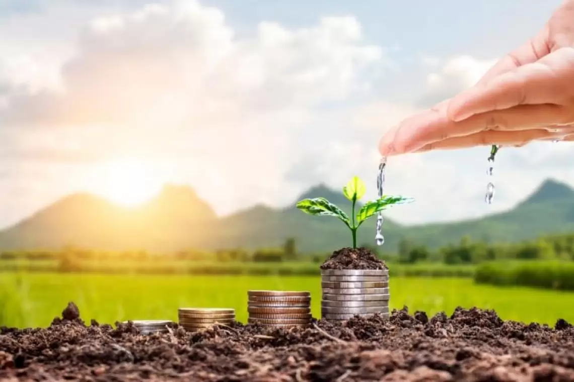 Agroinfo | Fonduri europene în valoare de 391,4 milioane euro pentru instrumente de gestionare a riscurilor din agricultură
