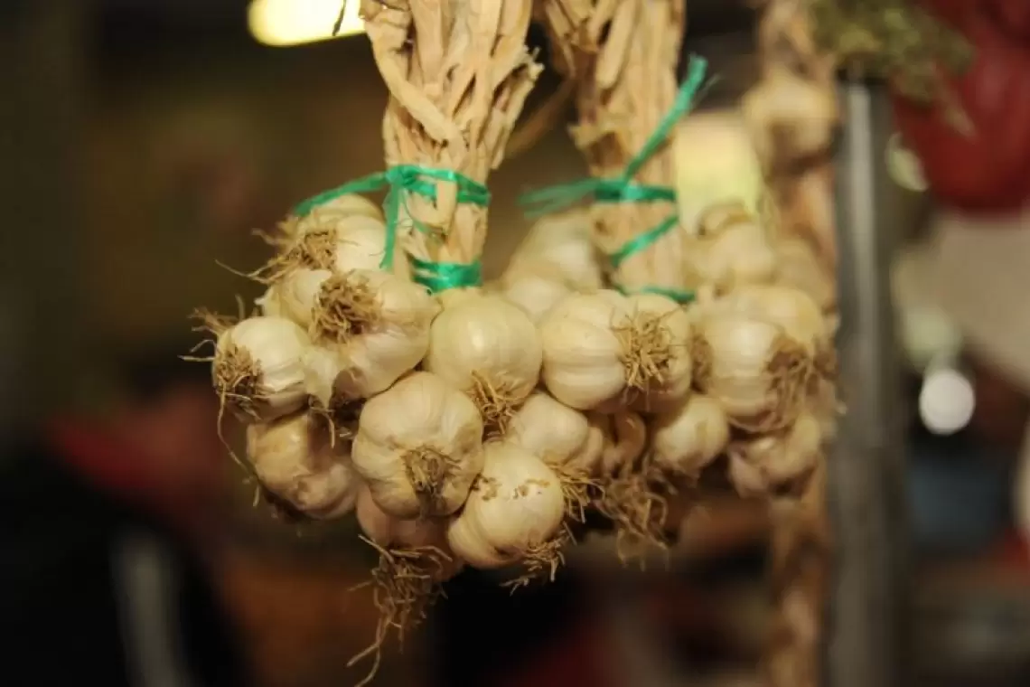 Agroinfo | Fonduri suplimentare pentru programul de susţinere a producției de usturoi