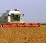 MADR | Sprijin de urgență pentru fermierii din sectorul vegetal