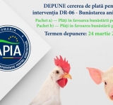 APIA primește până pe 24 martie inclusiv Cereri de plată pentru intervenția DR-06 - Bunăstarea animalelor
