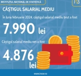 INS | Câştigul salarial mediu brut pe economie în luna febuarie 2024 a fost 7.990 lei şi cel net 4.876 lei